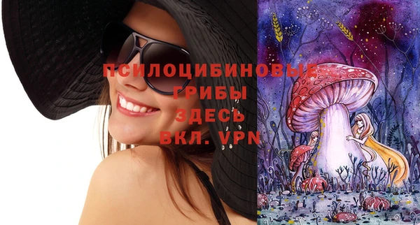 шишки Краснотурьинск