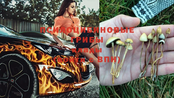 спиды Лабытнанги