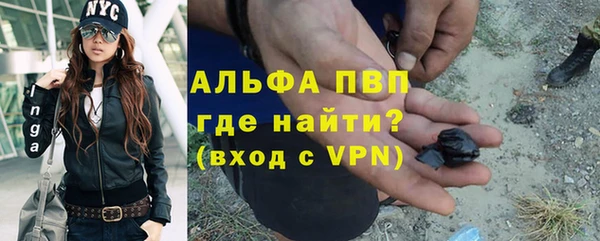 шишки Краснотурьинск