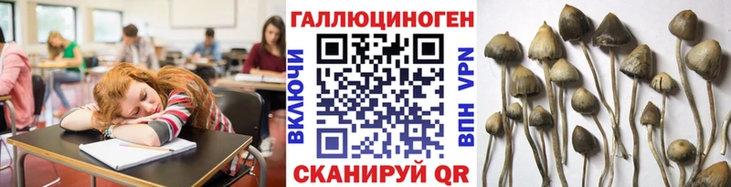 Галлюциногенные грибы Psilocybine cubensis Котово